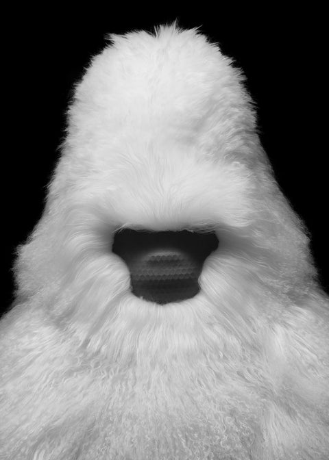 IF AUDIO STUDIO Speaker David I - -Plush ver. White --SOLD OUT