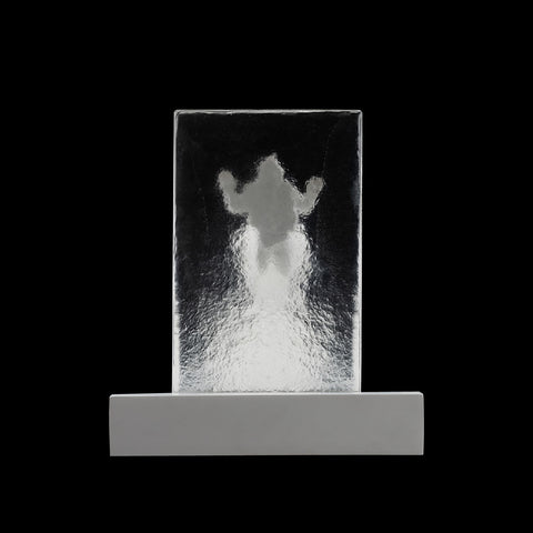 SECRET x CHEN WENLING《 WHAT YOU SEE MAY NOT BE TURE》limited 999
