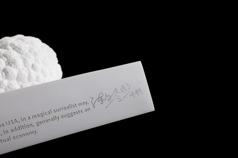 SECRET x CHEN WENLING《 WHAT YOU SEE MAY NOT BE TURE》limited 999