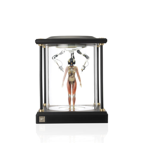 SOLAR LAB x YUHAN DESIGN STUDIO ornaments - Artificial Body limited 500