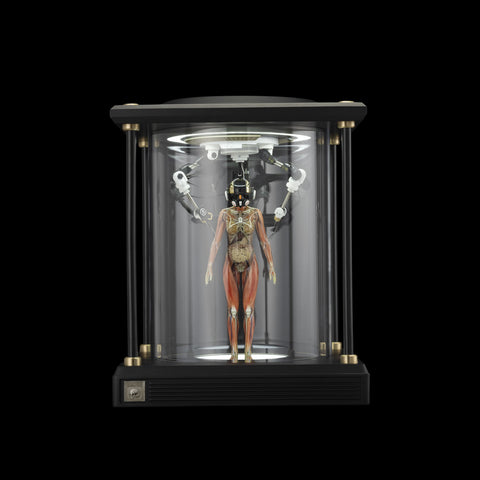 SOLAR LAB x YUHAN DESIGN STUDIO ornaments - Artificial Body limited 500