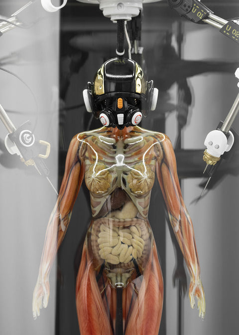 SOLAR LAB x YUHAN DESIGN STUDIO ornaments - Artificial Body limited 500