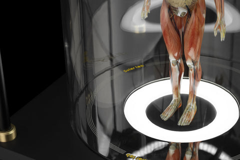 SOLAR LAB x YUHAN DESIGN STUDIO ornaments - Artificial Body limited 500