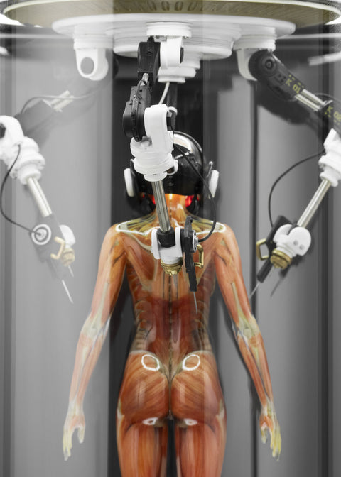 SOLAR LAB x YUHAN DESIGN STUDIO ornaments - Artificial Body limited 500