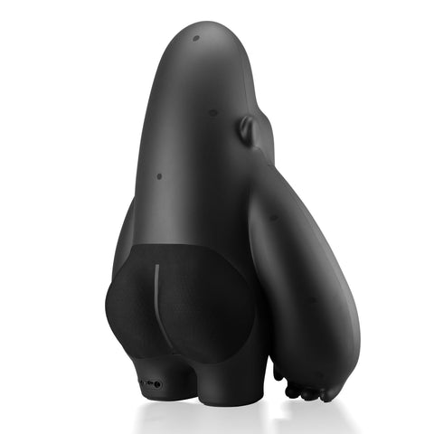 IF AUDIO STUDIO Speaker David I - Matt ver. Black