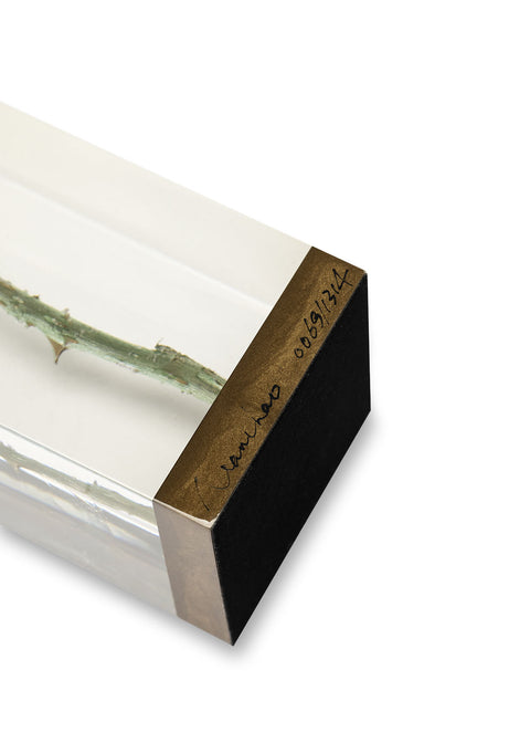 SECRET x NAN CHAO《Made in Love》limited 1314