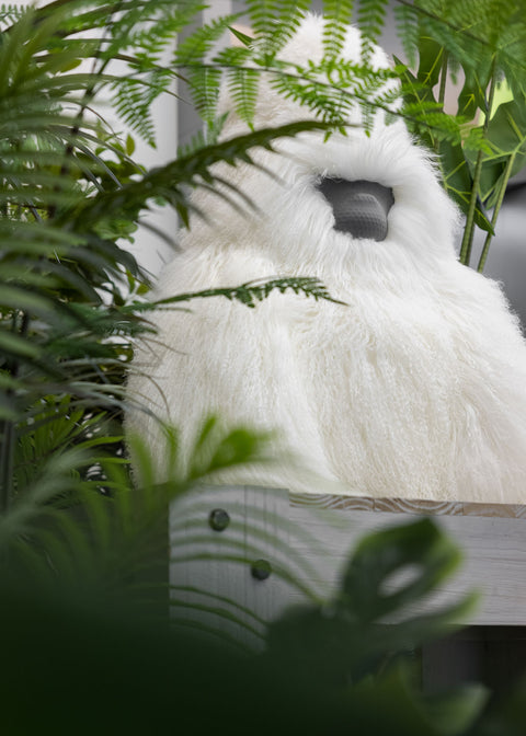 IF AUDIO STUDIO Speaker David I - -Plush ver. White --SOLD OUT