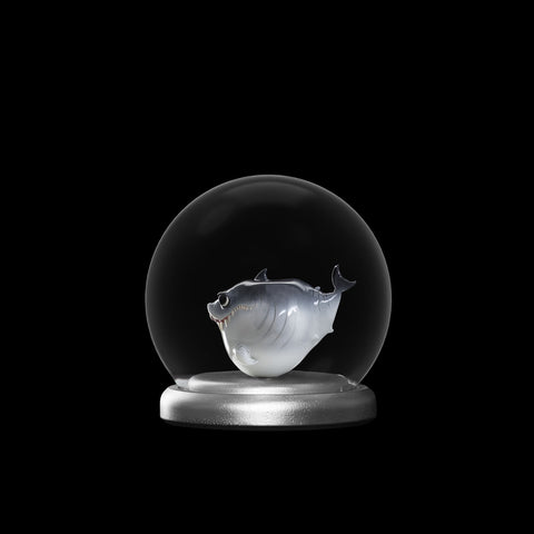 SECRET《Baby Shark》