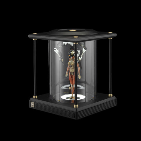 SOLAR LAB x YUHAN DESIGN STUDIO ornaments - Artificial Body limited 500