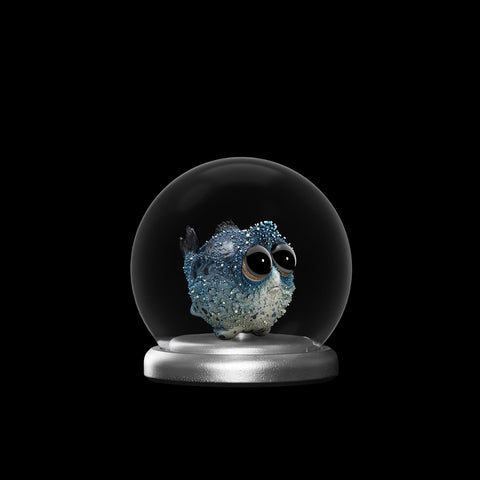 SECRET《Big-eyed Fish》