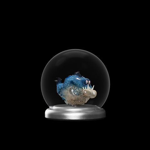 SECRET《Toothy Fish》