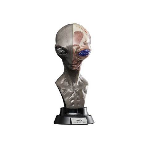 UPOINT STUDIO x VERY MUSEUM 《GREY》