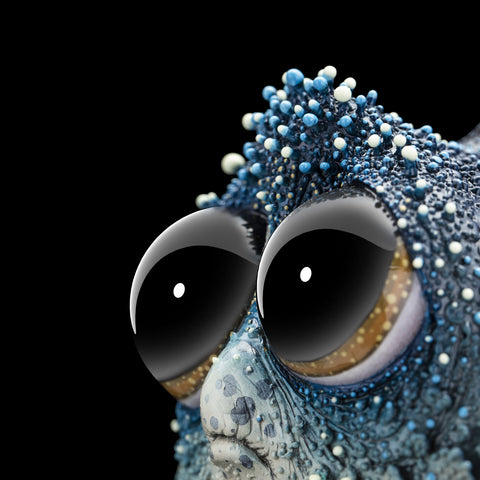 SECRET《Big-eyed Fish》