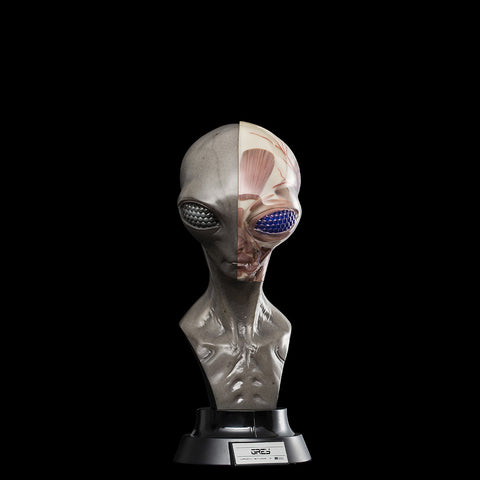 UPOINT STUDIO x VERY MUSEUM 《GREY》