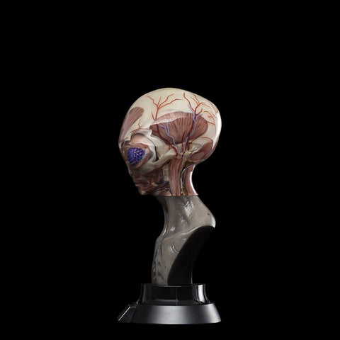 UPOINT STUDIO x VERY MUSEUM 《GREY》