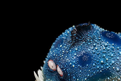 SECRET《Toothy Fish》