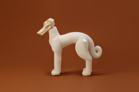 AWHITE - Italian Greyhound